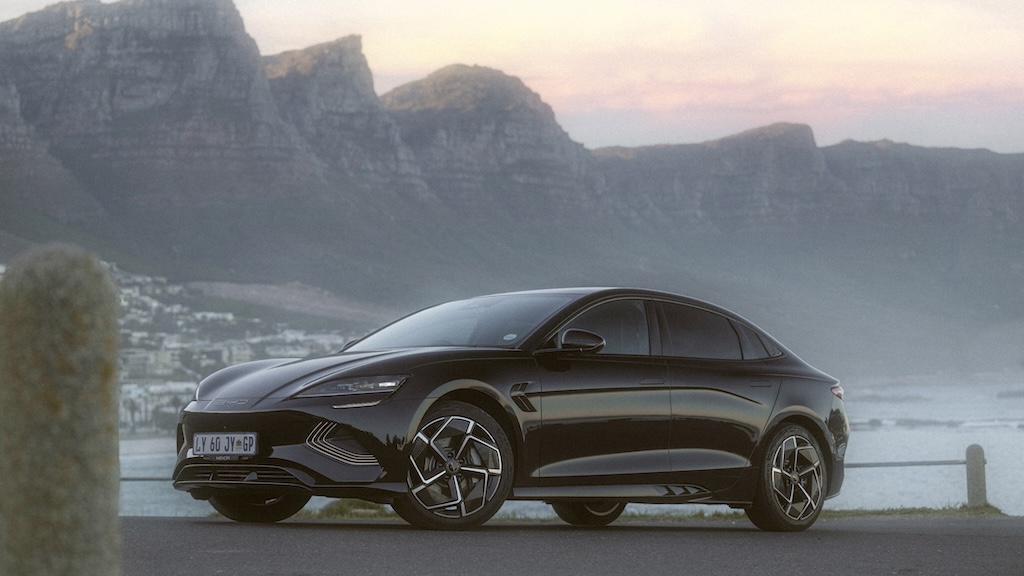 A black Seal on Camps Bay's shore