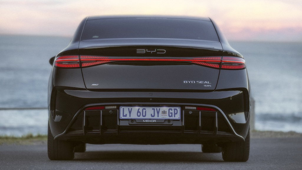 Seal photographed from rear, facing ocean