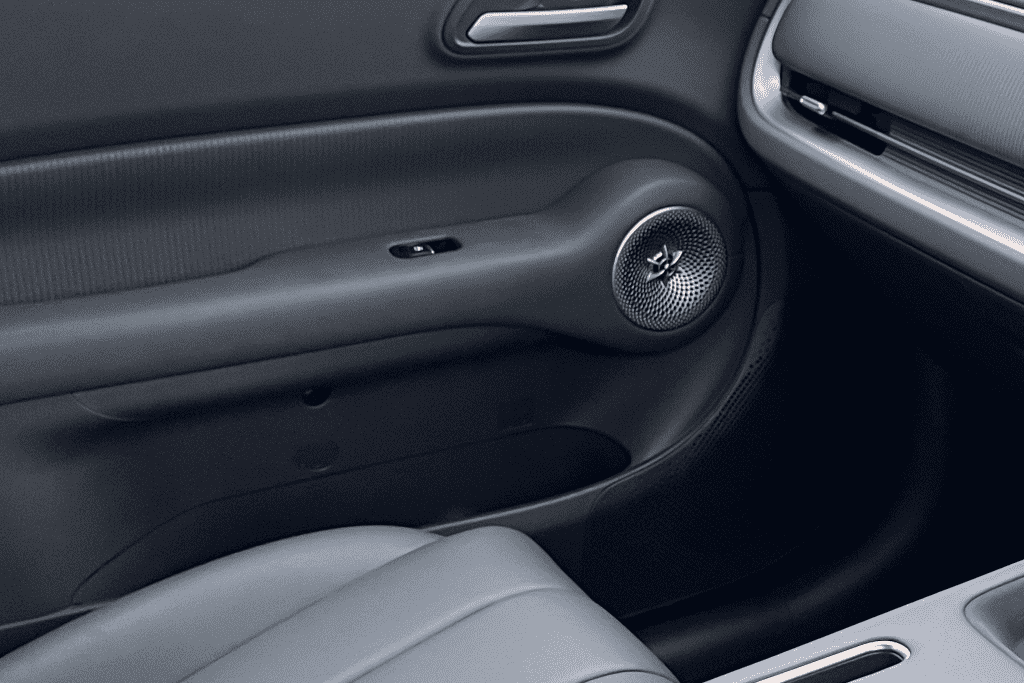 Detailed view of the sculpted door trim, integrated speaker grille, and modern cabin accents.